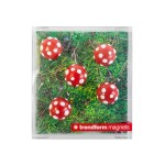 Magnete Fliegenpilz 5er Set