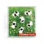 Magnete Cow 5er Set