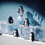 Magnete Pinguine 5er Set Magnete Pinguine 5er Set